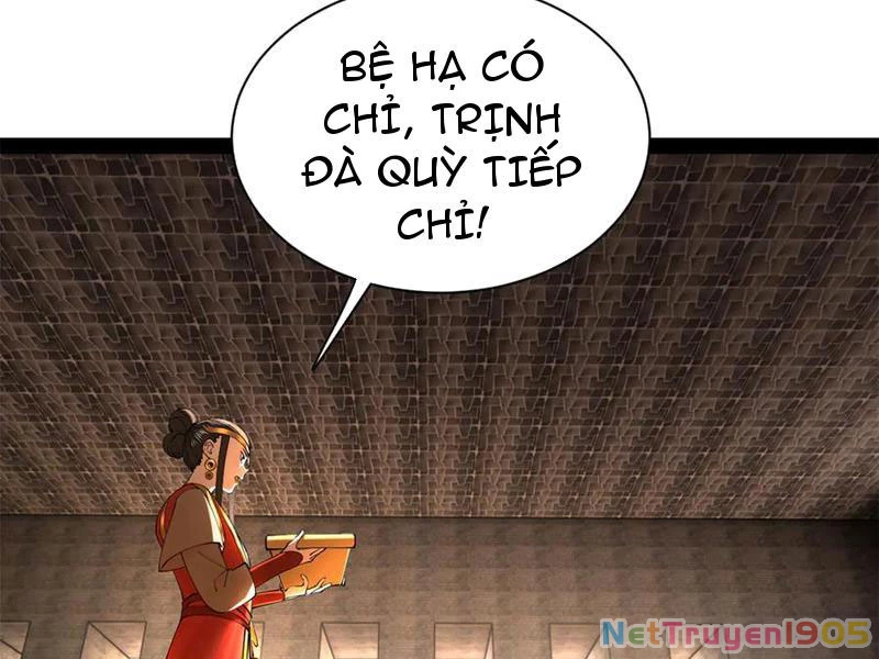Chàng Rể Mạnh Nhất Lịch Sử Chapter 303 - 28
