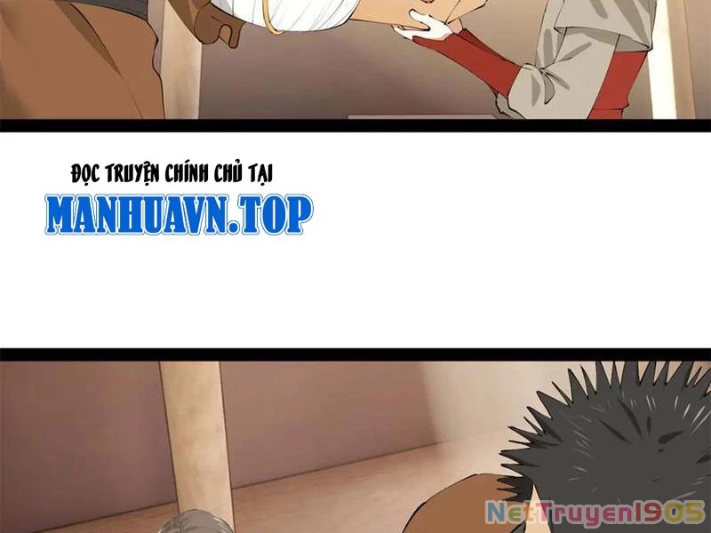 Chàng Rể Mạnh Nhất Lịch Sử Chapter 303 - 114