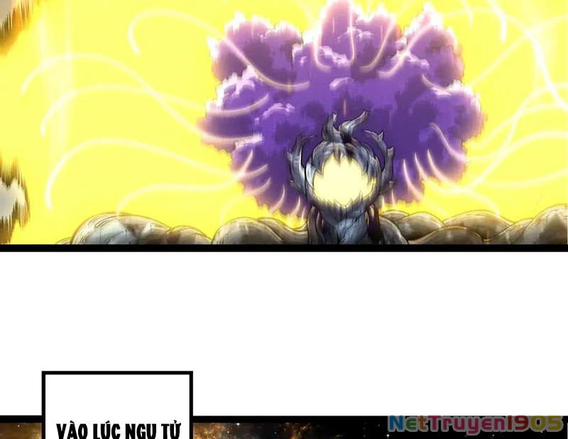 Chuyển Sinh Thành Liễu Đột Biến Chapter 380 - 2