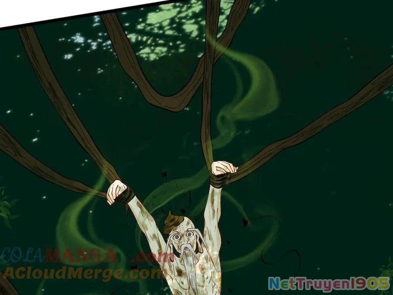 Gặp Mạnh Thì Mạnh, Ta Tu Vi Vô Thượng Hạn Chapter 49 - Trang 2