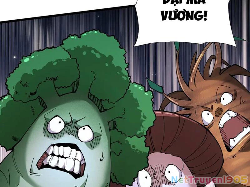 Gặp Mạnh Thì Mạnh, Ta Tu Vi Vô Thượng Hạn Chapter 49 - Trang 2