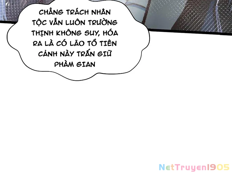 Đỉnh Cấp Khí Vận, Lặng Lẽ Tu Luyện Ngàn Năm Chapter 219 - 11