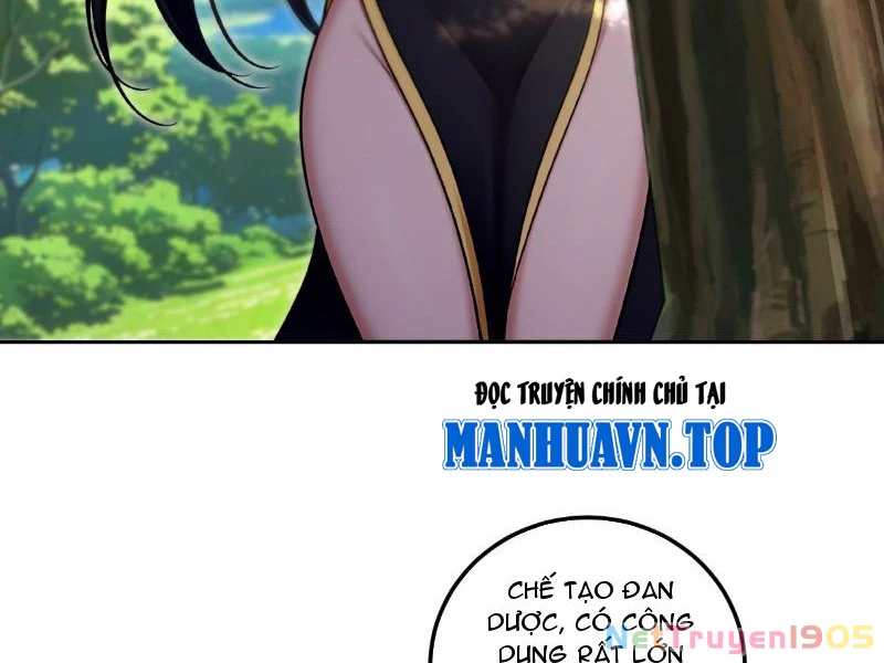 Nữ Đế Ma Tôn xuyên không thành cấp trên của tôi Chapter 30 - Trang 2