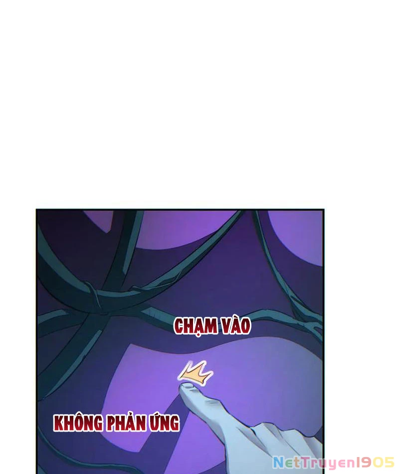 Mạt Thế Trùng Sinh: Ta Dựa Vào Mở Rương Vấn Dỉnh Đỉnh Phong Chapter 52 - 33