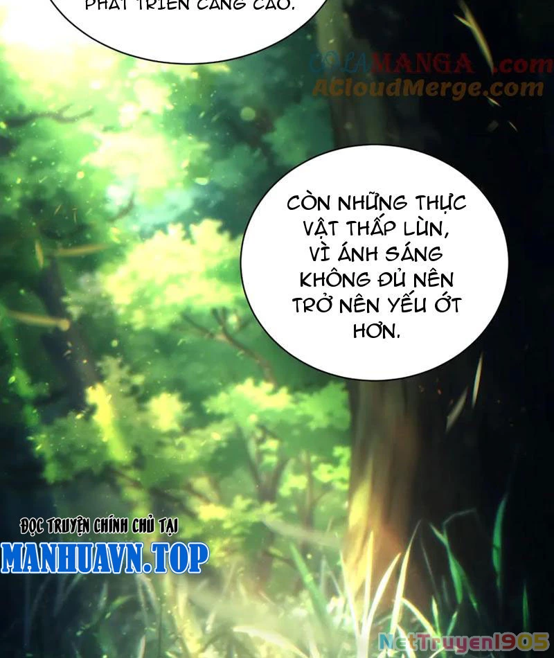 Mạt Thế Trùng Sinh: Ta Dựa Vào Mở Rương Vấn Dỉnh Đỉnh Phong Chapter 52 - 40