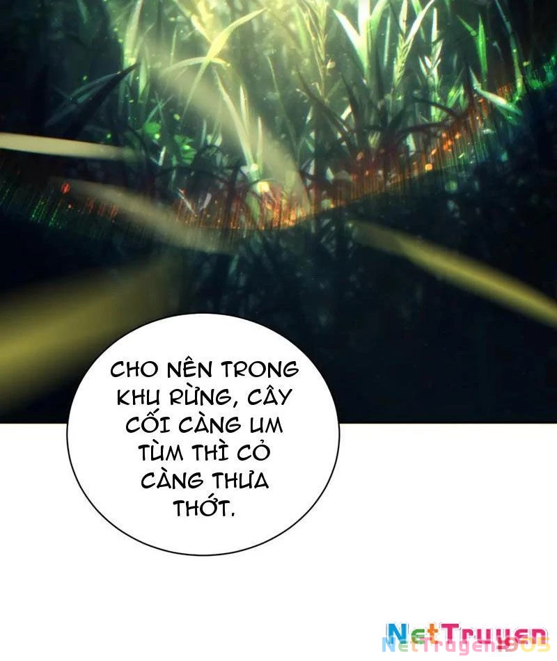 Mạt Thế Trùng Sinh: Ta Dựa Vào Mở Rương Vấn Dỉnh Đỉnh Phong Chapter 52 - 41