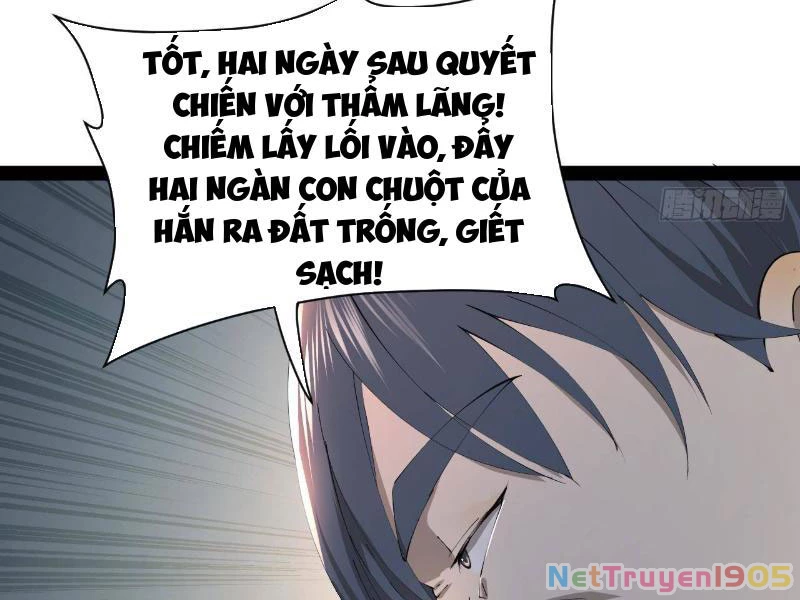 Chàng Rể Mạnh Nhất Lịch Sử Chapter 304 - 28