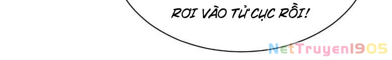 Chàng Rể Mạnh Nhất Lịch Sử Chapter 304 - 94