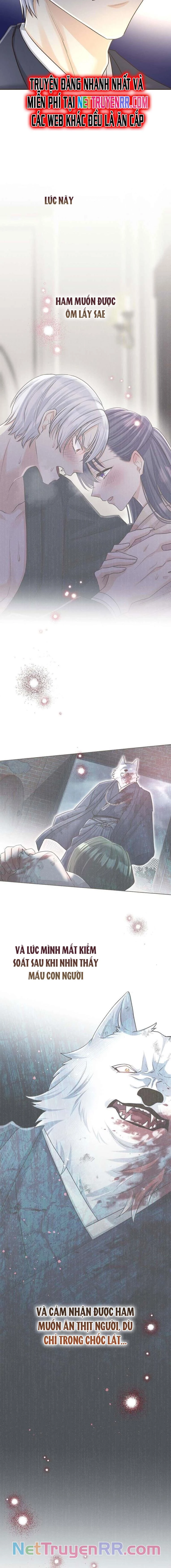 Cô Dâu Của Sói Trắng Chapter 55 - 6