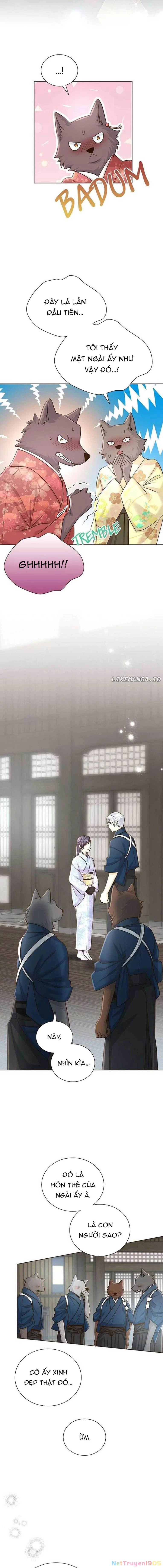 Cô Dâu Của Sói Trắng Chapter 61 - 11