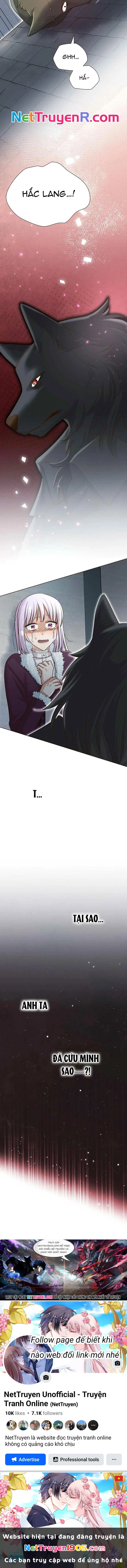 Cô Dâu Của Sói Trắng Chapter 67 - 15