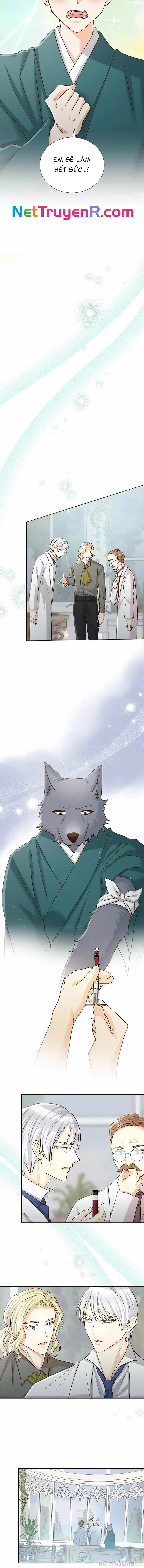 Cô Dâu Của Sói Trắng Chapter 68 - 10