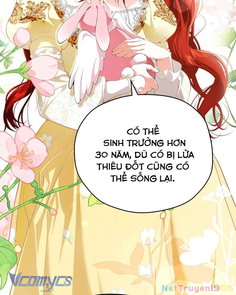 Cô Ấy Sẽ Thuần Hóa Các Anh Hùng Chapter 7 - 24
