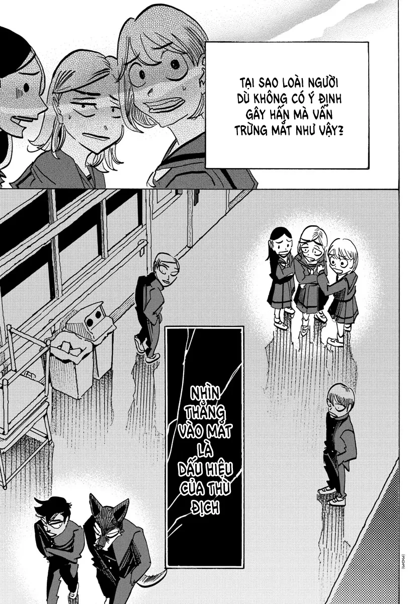 Lý Trí Của Taika Chapter 19 - 7