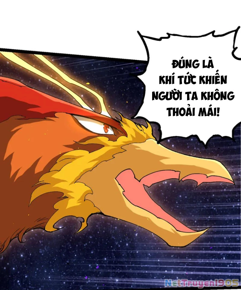 Chuyển Sinh Thành Liễu Đột Biến Chapter 381 - 13