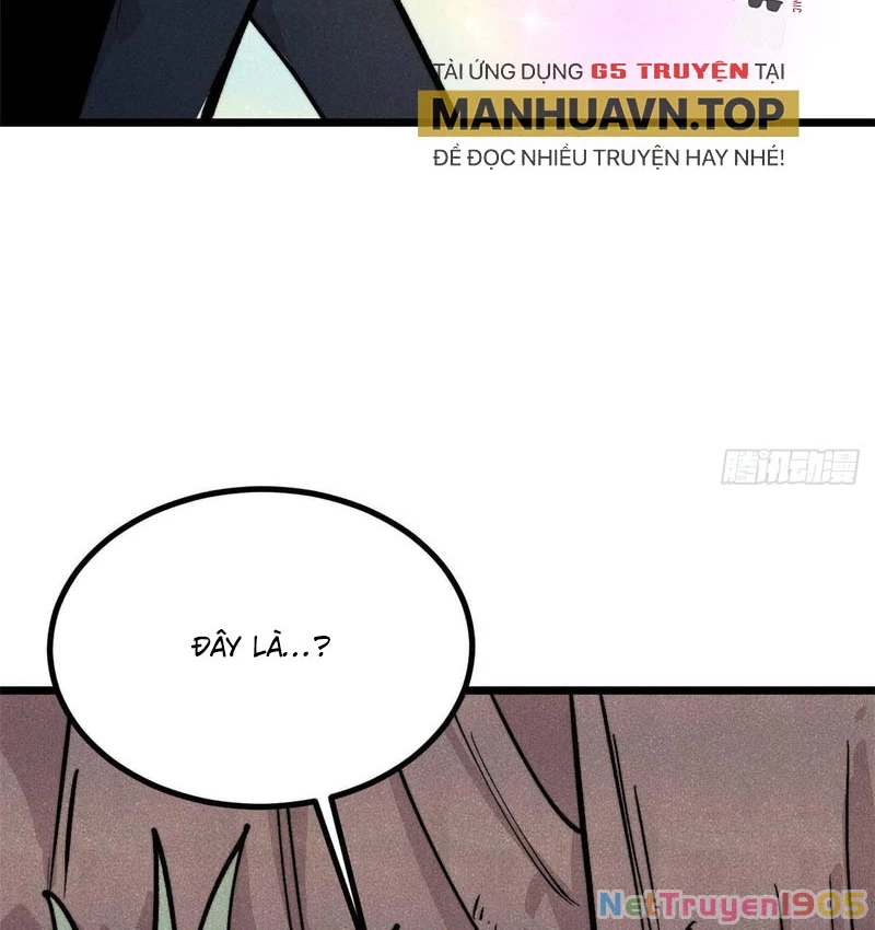 Vạn Cổ Tối Cường Tông Chapter 429 - 3