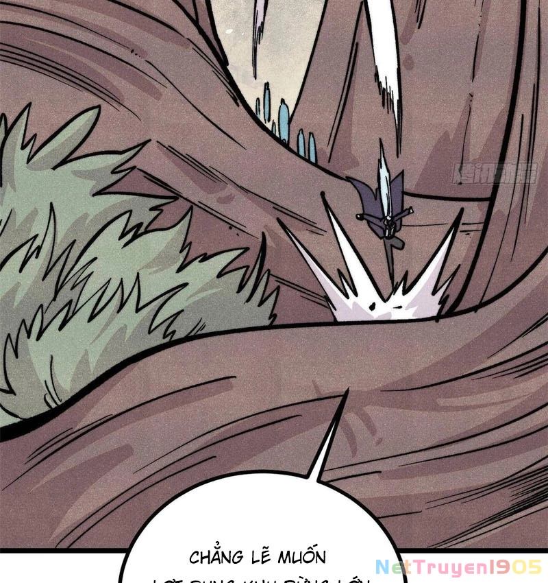 Vạn Cổ Tối Cường Tông Chapter 429 - 17