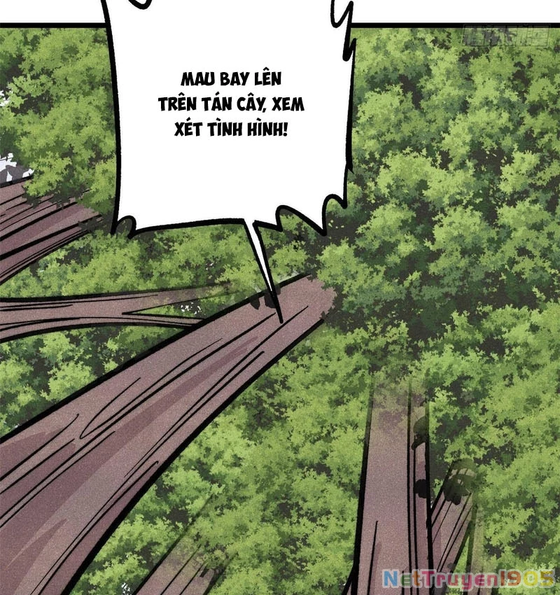Vạn Cổ Tối Cường Tông Chapter 429 - 21