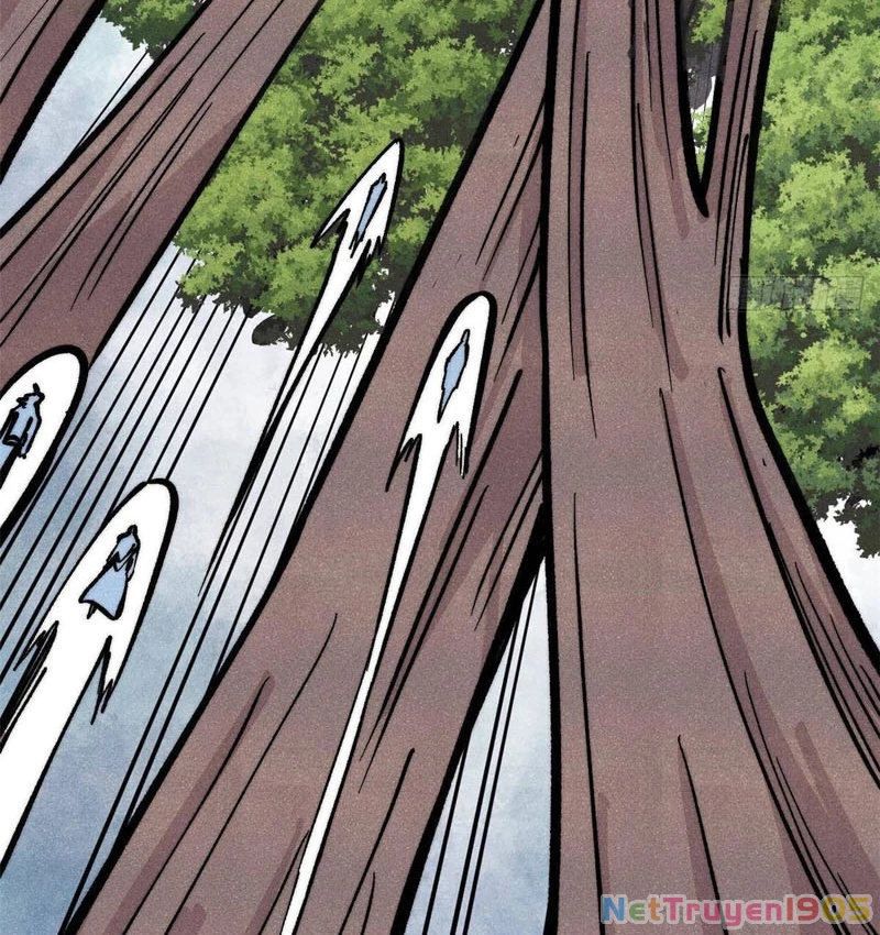 Vạn Cổ Tối Cường Tông Chapter 429 - 22