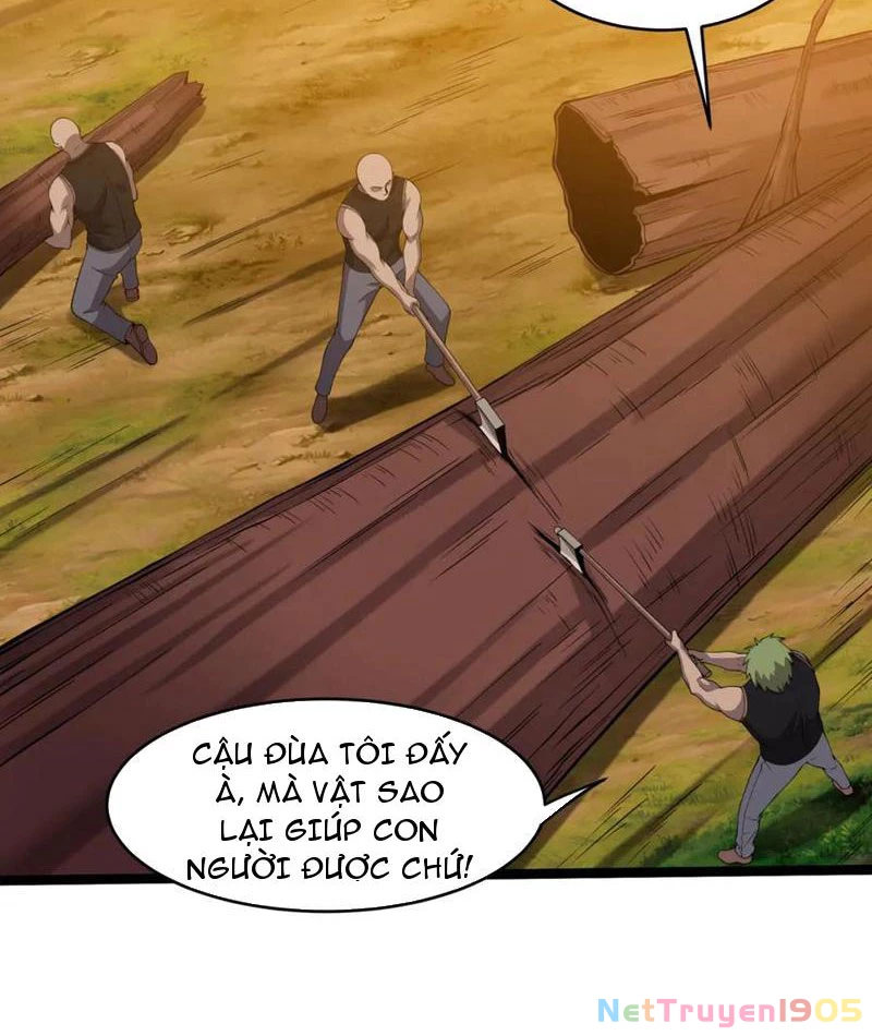 Từ Thôn Phệ Ma Thần Bắt Đầu Tiến Hóa Chapter 22 - 104