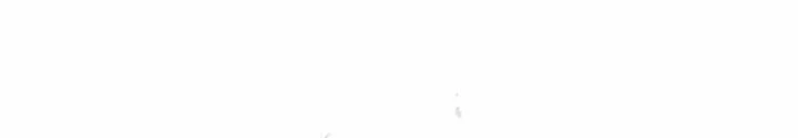 Ta Bị Kẹt Cùng Một Ngày 1000 Năm Chapter 190 - 46