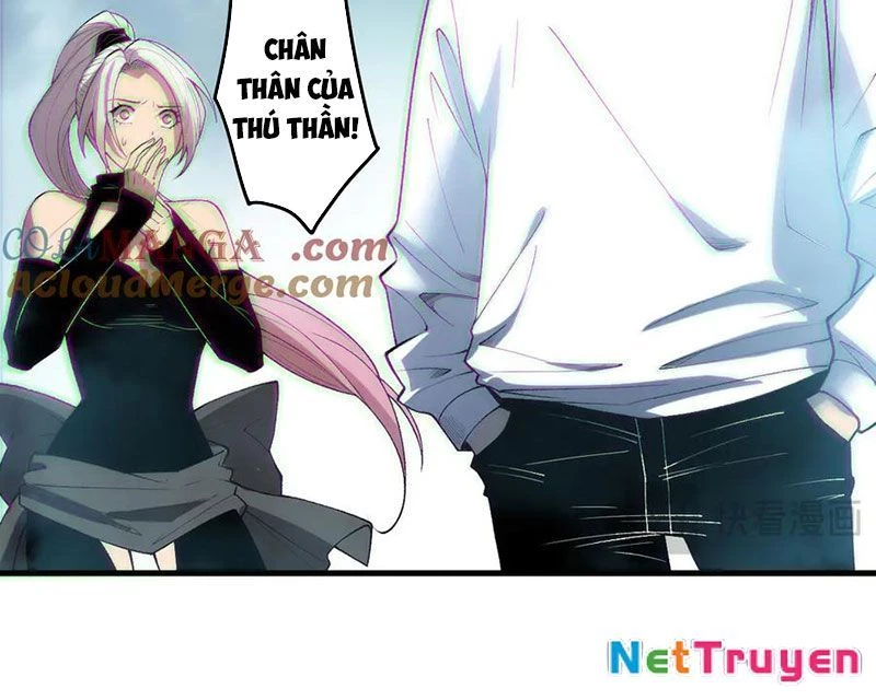 Thảm Họa Tử Linh Sư Chapter 186 - 71