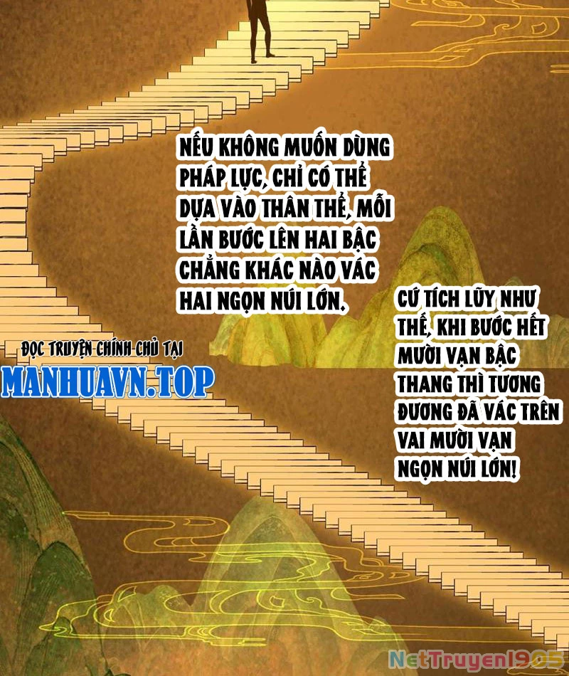 Đại Thừa Kỳ Mới Có Nghịch Tập Hệ Thống Chapter 67 - 51