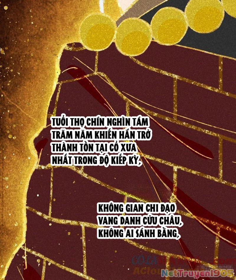 Đại Thừa Kỳ Mới Có Nghịch Tập Hệ Thống Chapter 67 - 65