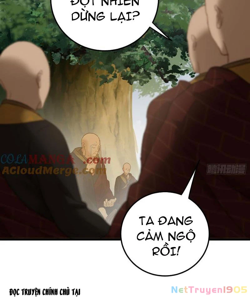 Đại Thừa Kỳ Mới Có Nghịch Tập Hệ Thống Chapter 67 - 78