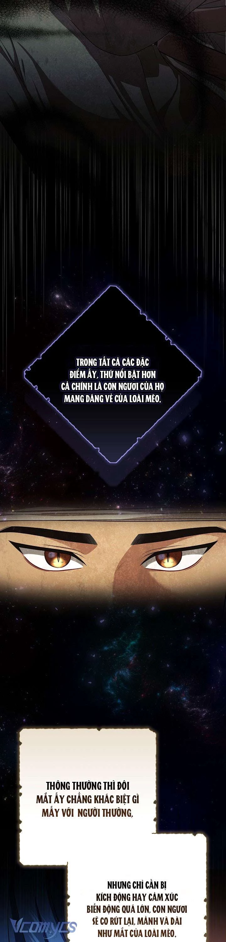 Tôi Đã Xem Một Vở Kịch Chapter 17 - Trang 2