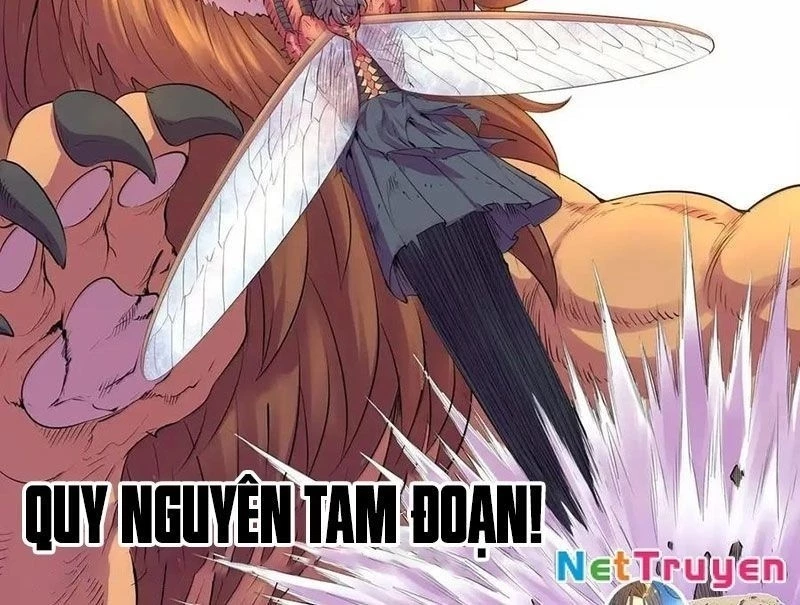 Côn Thôn Thiên Hạ Chapter 348 - 41