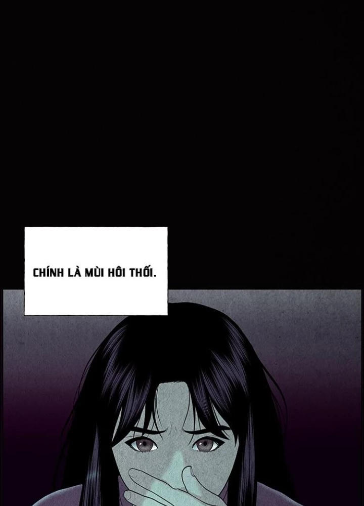 Cửa Hàng Đồ Cổ Tương Lai Chapter 32 - Trang 2