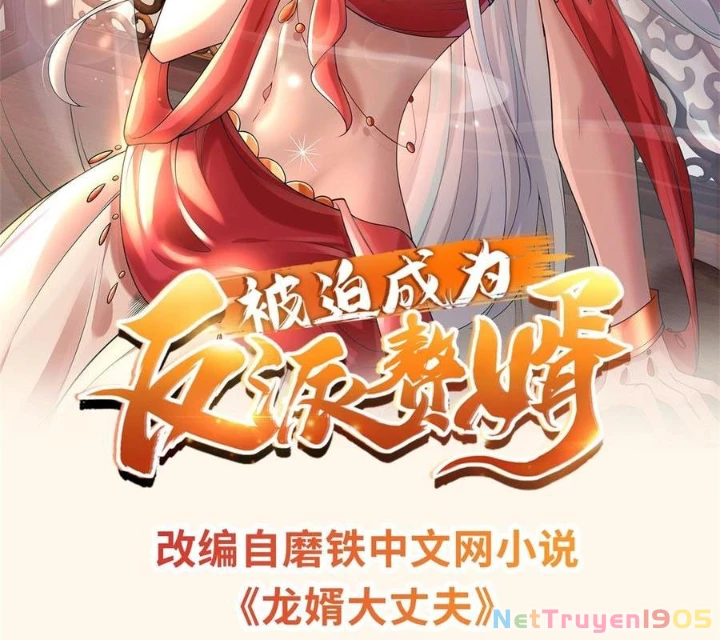 Người Ở Rể Bị Ép Thành Phản Diện Chapter 656 - 2