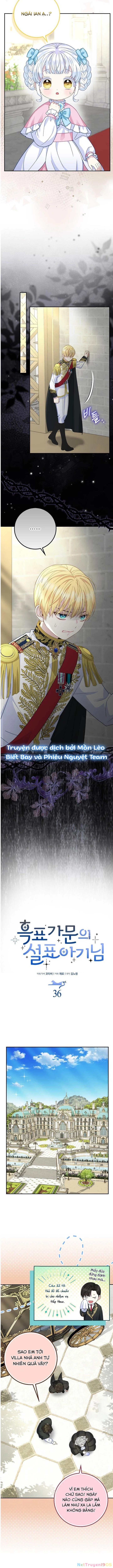 Tiểu Thư Báo Tuyết Của Gia Tộc Báo Đen Chapter 36 - Trang 2