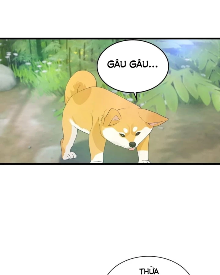 Đô Thị Thánh Thủ: Ta Là Y Võ Đỉnh Phong Chapter 127 - 34