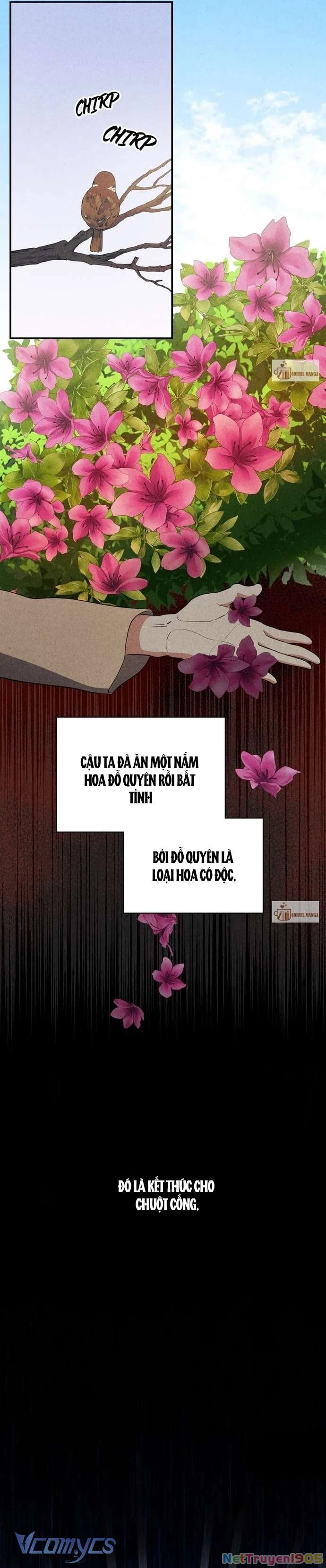 Hong Rang thân mếm Chapter 18 - 15