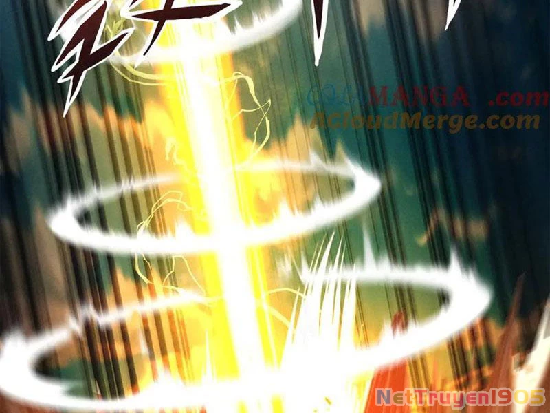 Gặp Mạnh Thì Mạnh, Ta Tu Vi Vô Thượng Hạn Chapter 50 - Trang 2