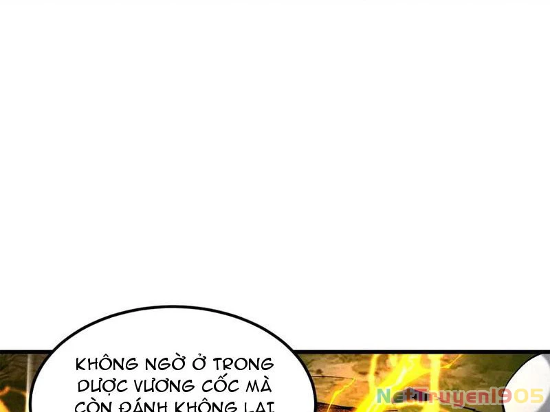 Gặp Mạnh Thì Mạnh, Ta Tu Vi Vô Thượng Hạn Chapter 50 - 34