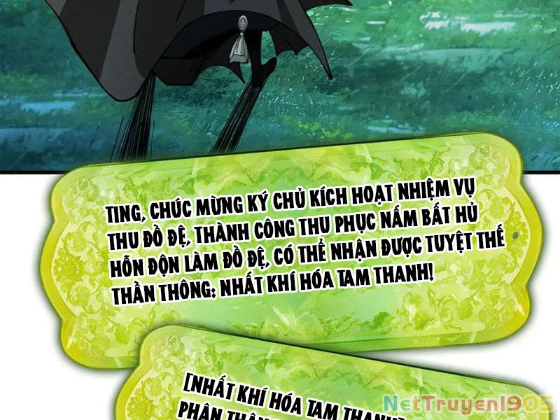 Gặp Mạnh Thì Mạnh, Ta Tu Vi Vô Thượng Hạn Chapter 50 - Trang 2