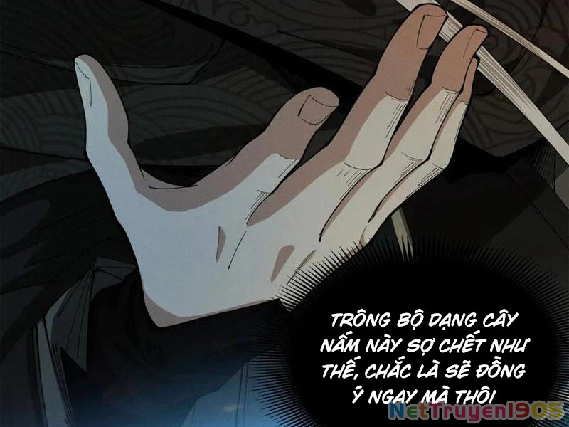 Gặp Mạnh Thì Mạnh, Ta Tu Vi Vô Thượng Hạn Chapter 50 - 49