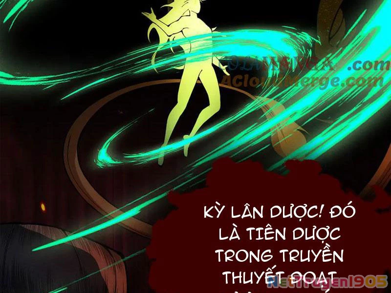 Gặp Mạnh Thì Mạnh, Ta Tu Vi Vô Thượng Hạn Chapter 50 - 152