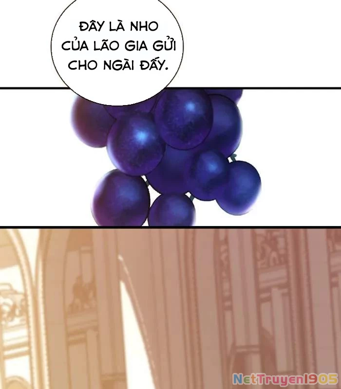 Số Phận An Bài Cho Các Nữ Phản Diện Yêu Tôi Chapter 30 - 23