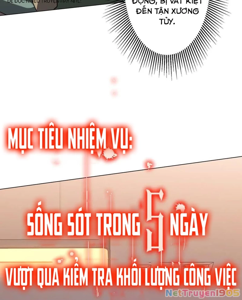 Bắt Đầu Với Trăm Vạn Minh Tệ Chapter 243 - 25