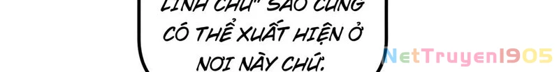 Tận thế giáng lâm, ta trùng sinh thành bạo quân Chapter 10 - 62