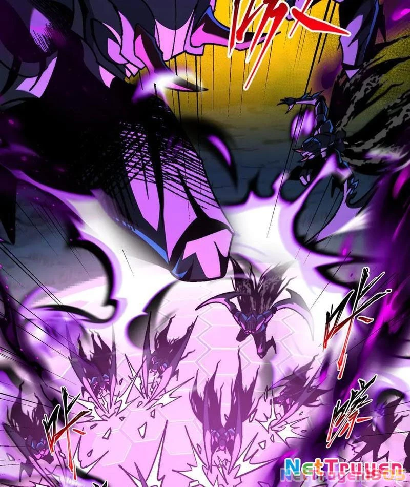 Tai Ách Cấp Mục Sư Chapter 46 - Trang 2