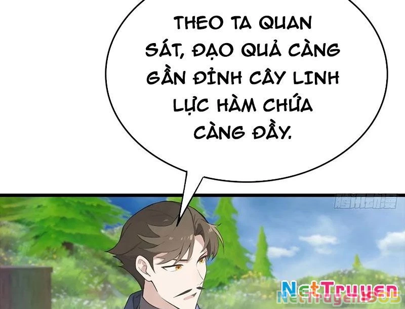 Tu Tiên Trở Về Tại Vườn Trường - Phần 2 Chapter 176 - Trang 2
