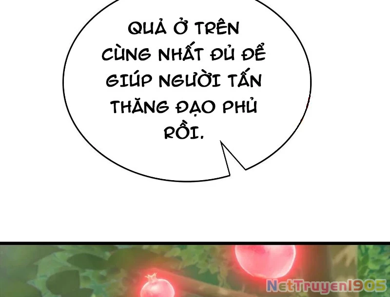 Tu Tiên Trở Về Tại Vườn Trường - Phần 2 Chapter 176 - Trang 2