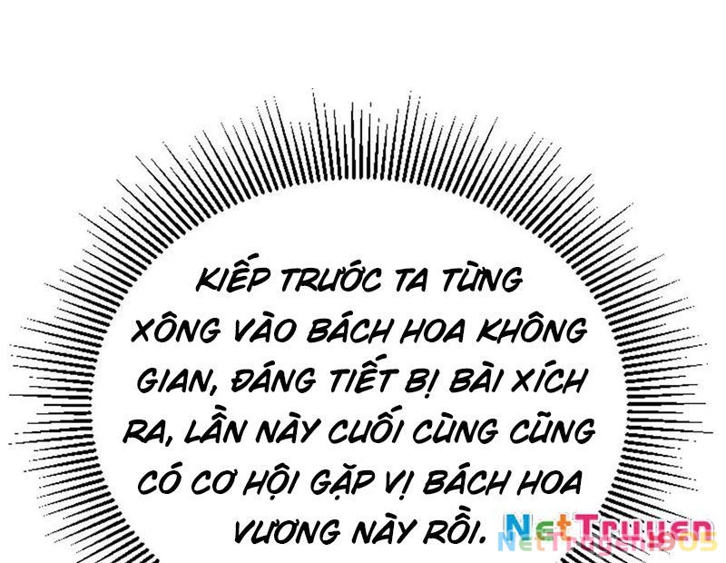 Tu Tiên Trở Về Tại Vườn Trường - Phần 2 Chapter 176 - Trang 2