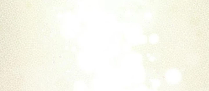 Pháp Sư Cận Chiến Mạnh Nhất Chapter 64 - 52