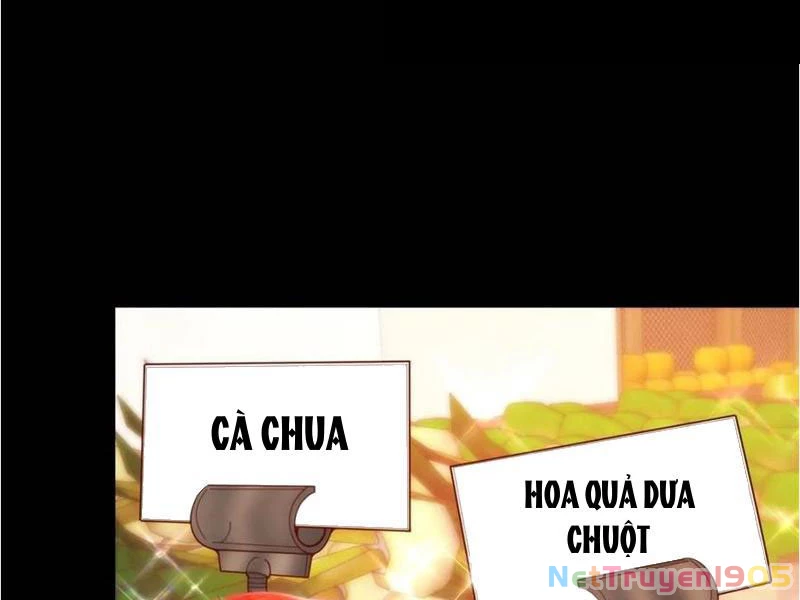 Trọng Sinh Không Làm Chạn Vương, Tôi Một Mình Nạp Game Thăng Cấp Chapter 231 - 92